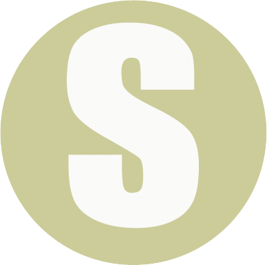 DropSwitch Logo